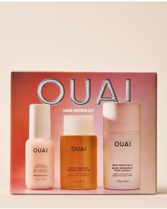 Hair Repair Kit